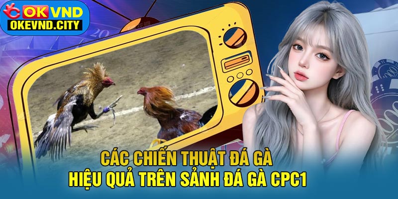 Các Chiến Thuật Đá Gà Hiệu Quả Trên Sảnh Đá Gà CPC1
