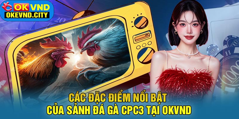 Các đặc điểm nổi bật của sảnh đá gà CPC3 tại OKVND
