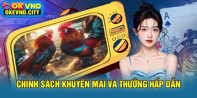 Chính sách khuyến mãi và thưởng hấp dẫn