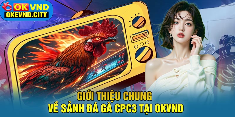 Giới thiệu chung về sảnh đá gà CPC3 tại OKVND