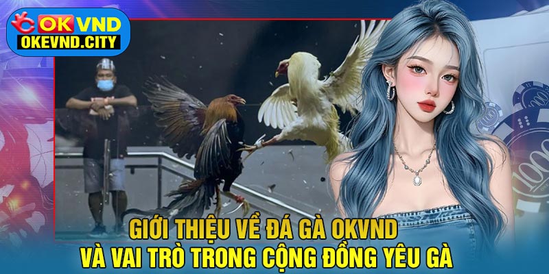 Giới thiệu về Đá Gà OKVND và vai trò trong cộng đồng yêu gà