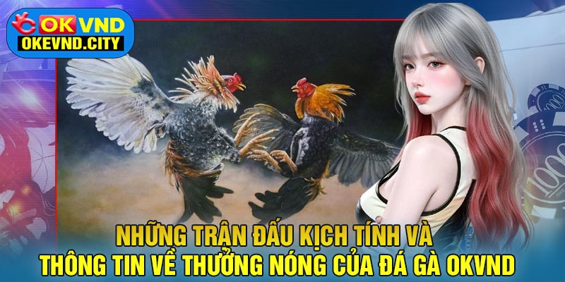 Những trận đấu kịch tính và thông tin về thưởng nóng của Đá Gà OKVND