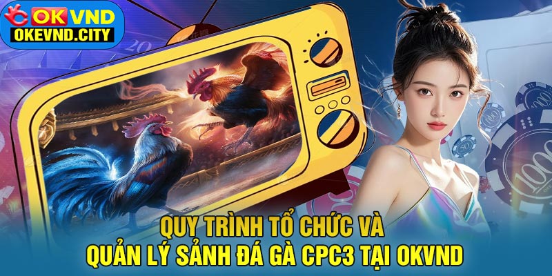 Quy trình tổ chức và quản lý sảnh đá gà CPC3 tại OKVND