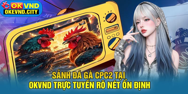 Sảnh Đá Gà CPC2 tại OKVND Trực Tuyến Rõ Nét Ổn Định